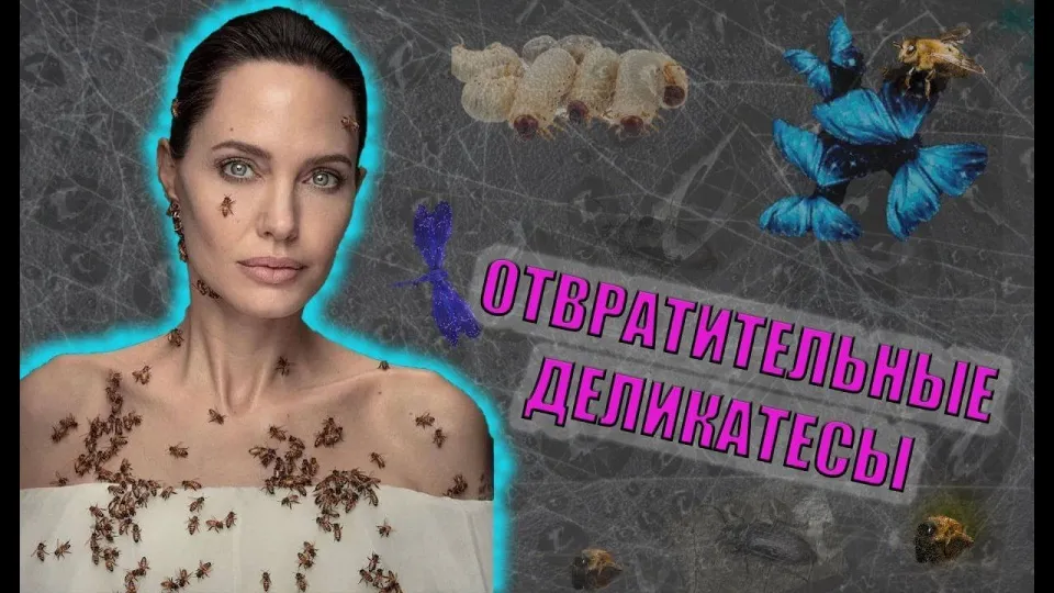 Интересные факты о самой отвратительной еде в мире что лучше и почему
